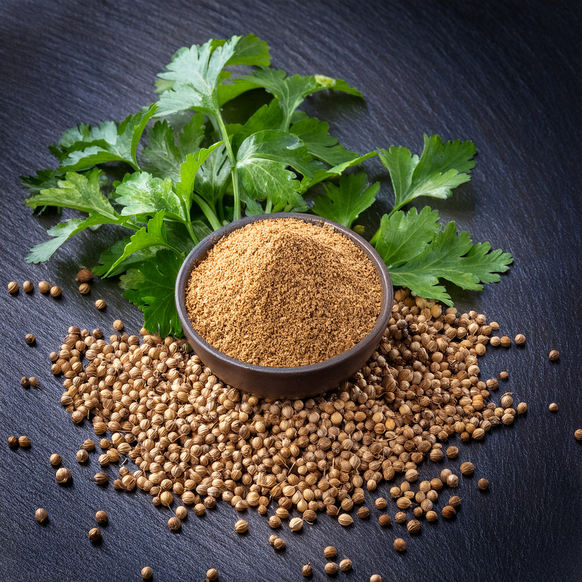 Premium Hand Ground Coriander - 100g